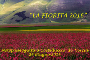 Fiorita2016