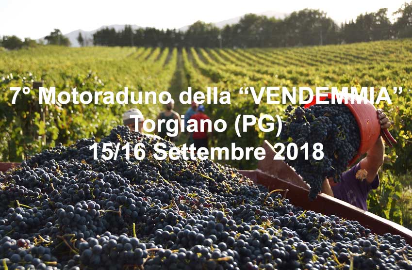 15 Settembre – Motoraduno della “VENDEMMIA”